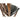 Ralene Counter Height Bar Stool - Medium Brown